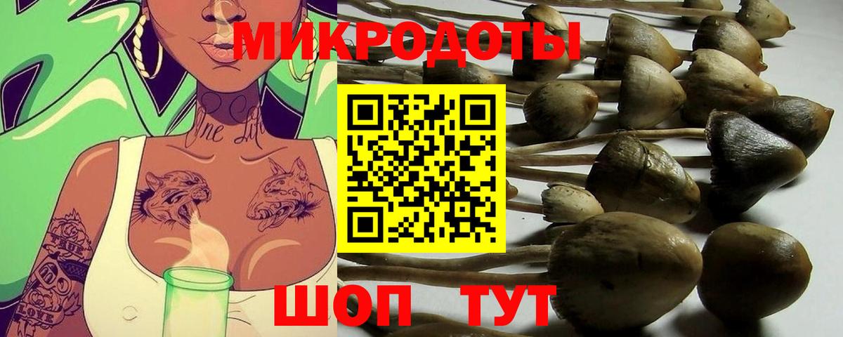 Галлюциногенные грибы GOLDEN TEACHER  Вход с VPN  Лянтор 